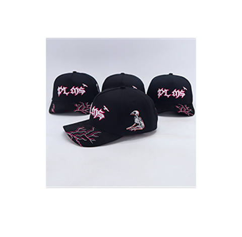 PLMS Hats